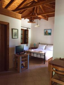 a bedroom with a bed and a desk with a television at Mouses Apartments-Kardamyli in Kardamili