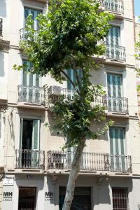 バルセロナにあるMH アパートメンツ S. ファミリアのバルコニー付きの建物の前の木