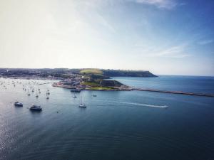 an aerial view of a harbor with boats in the water at Ebrington Street View in Plymouth