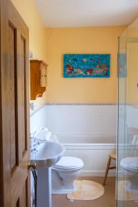 a bathroom with a toilet and a sink at Ford Down Farm B&B in South Molton