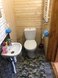 La salle de bains est pourvue de toilettes et d'un lavabo. dans l'établissement Rukavichka, à Pilipets