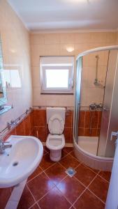 a bathroom with a toilet and a sink and a shower at APARTMAN KSENIJA KOVAČIĆ in Stanići +18 photos