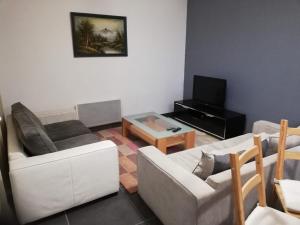 a living room with two couches and a tv at Maison Duplex & Appartement sur cour in La Ferté-Gaucher
