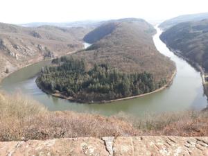 arial view of a river with trees on a hill at Fewo Kastel in Nonnweiler