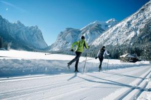 Skyview Chalets am Camping Toblacher See v zime