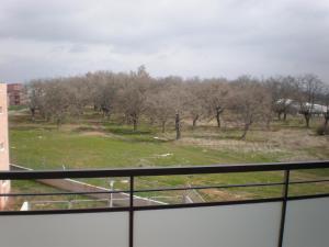 uma vista a partir de uma janela de um campo com árvores em APARTAMENTO EN CAMPO DE GOLF em Cirueña
