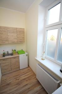 Kuchnia lub aneks kuchenny w obiekcie Apartamenty Trzciana