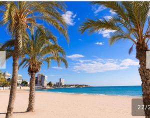 two palm trees on a beach with the ocean at Apartamento entero en la playa san juan Benacantil in Alicante