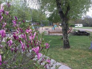 Zahrada ubytování Egtved Camping Cottages