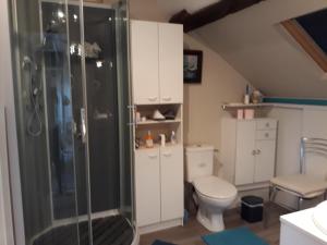 La salle de bains est pourvue d'une douche et de toilettes. dans l'établissement Vacances Paisibles Sur La Côte Fleurie., à Trouville-sur-Mer