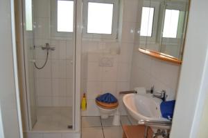 a bathroom with a shower and a toilet and a sink at Ferienwohnung Halligblick in Nieblum
