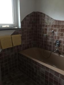 Koupelna v ubytování Ferienwohnung Im Bachgrund