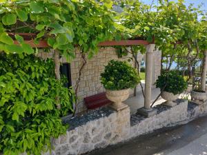 Foto dalla galleria di Guest house Burin a Mlini Altre 44 foto