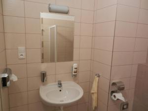 Fotografie z fotogalerie ubytování Hotel Beránek v Blatné