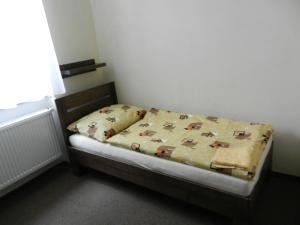 Fotografie z fotogalerie ubytování Hotel Beránek v Blatné