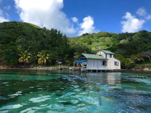 a house on the shore of a body of water at Guanaja Backpackers Hostel in Guanaja