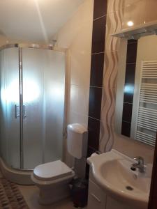 a bathroom with a shower and a toilet and a sink at Spirit in Međugorje