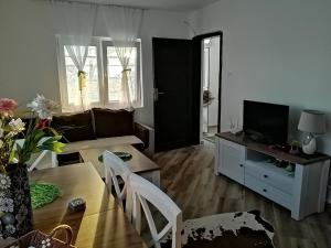 TV i/ili multimedijalni sistem u objektu Apartman Nikocevic