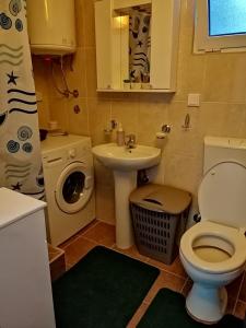 Vonios kambarys apgyvendinimo įstaigoje Apartman Nikocevic