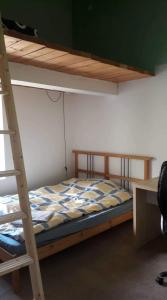 een slaapkamer met een stapelbed en een ladder bij Rooms in the apartment-center in Košice