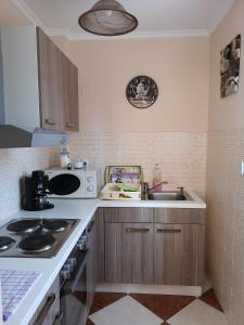 a kitchen with a sink and a stove top oven at Aranyhal Vendégház in Sukoró