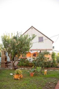 Zahrada ubytování Casa Dany