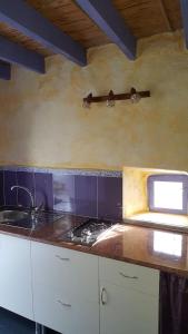 a kitchen with a stove and a counter top at Casa-Cueva Nijar in Níjar