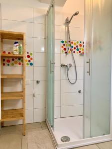 a shower with a glass door in a bathroom at Hostel Vrba in Ljubljana