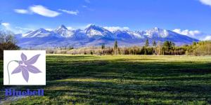 a field with mountains in the background with a sign in the foreground at Bluebell in Mengusovce