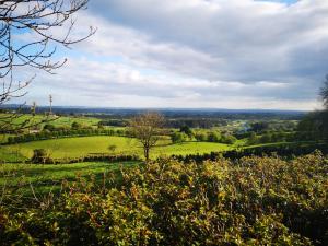 a view of a green field with trees in the distance at Alice's Cottage in Omagh