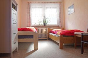 1 Schlafzimmer mit 2 Etagenbetten und einem Fenster in der Unterkunft Ferienwohnung Ferchesar in Stechow