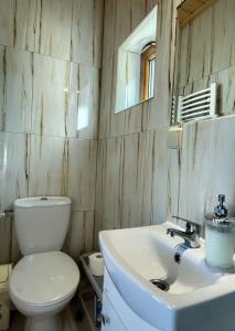 a bathroom with a toilet and a sink and a mirror at Oaza Tatry III in Zakopane