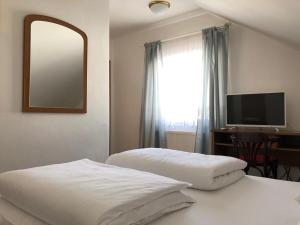 a bedroom with a bed with a mirror and a television at Hard Rock Rooms for two in Livno