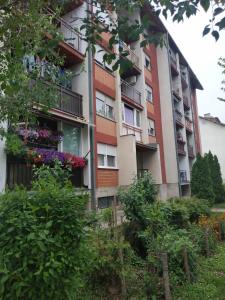 um prédio de apartamentos com flores em frente em Apartman Ivan em Vrdnik mais 20 fotografias