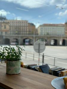una pianta in vaso seduta su un tavolo con vista sulla città di Wake Up Wellness Hostel a Brno