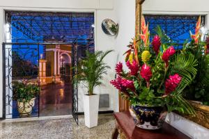 Zahrada ubytování Hotel Dorado Plaza Centro Histórico