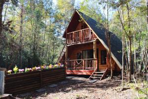 Imagen de la galería de Casa Arbol, en Pucón