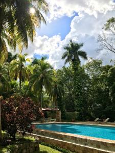 a swimming pool in a resort with palm trees at Hacienda Chichen Resort and Yaxkin Spa in Chichén-Itzá