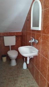 a bathroom with a toilet and a sink and a mirror at Guesthouse Ada in Bar