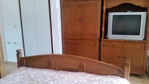 a bedroom with a bed and a tv on a dresser at Guesthouse Ada in Bar