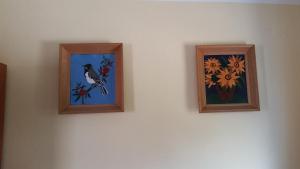 two framed pictures of a bird on a wall at Guesthouse Ada in Bar