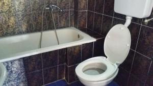 a bathroom with a toilet and a bath tub at Guesthouse Ada in Bar