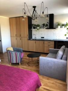 uma sala de estar com um sofá e uma cozinha em Kaktuss apartamenti Smiltene em Smiltene