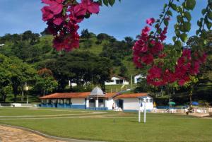 a building with pink flowers hanging from a tree at Hotel Termópolis in Termópolis