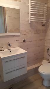 łazienka z białą umywalką i toaletą w obiekcie Arkadia Dom nad Jeziorem Solińskim w Wołkowyi