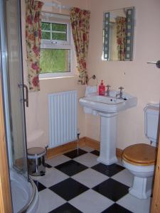 Kylpyhuone majoituspaikassa Annagh Cottage