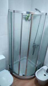 a shower with a glass door next to a toilet at Apartamento Corcubion Playa de Quenxe in Corcubión +34 photos