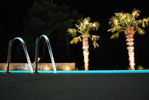 two palm trees in a swimming pool at night at Astra Villas in Zaton
