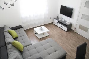 TV/Unterhaltungsangebot in der Unterkunft Apartman Ivana
