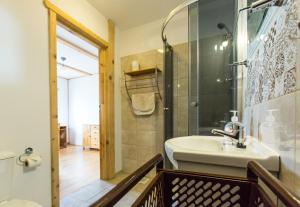 a bathroom with a sink and a shower at Gutkowa Koliba in Jaśliska